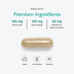 Terminalia arjuna bark used in heart health formula