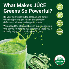 Mezcla 77 superfoods de Terra Kai Organics JUCE Green Superfood para nutrición diaria