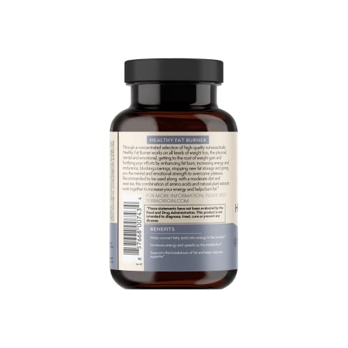 Terra Origin energy and metabolism in action