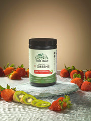 Close-up of probiotic and enzyme ingredients in Terra Origin formula