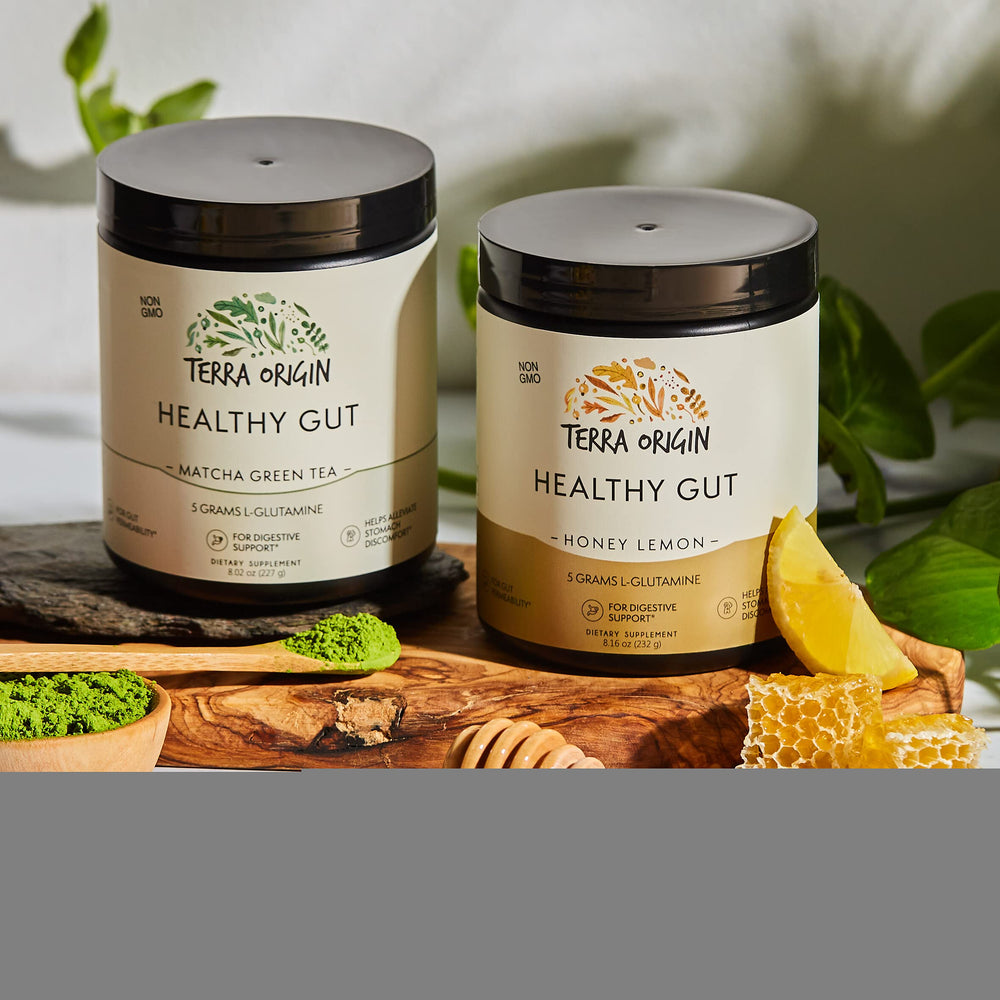 Zinc Carnosine (PepZinGI) and other ingredients in Terra Origin Healthy Gut Powder