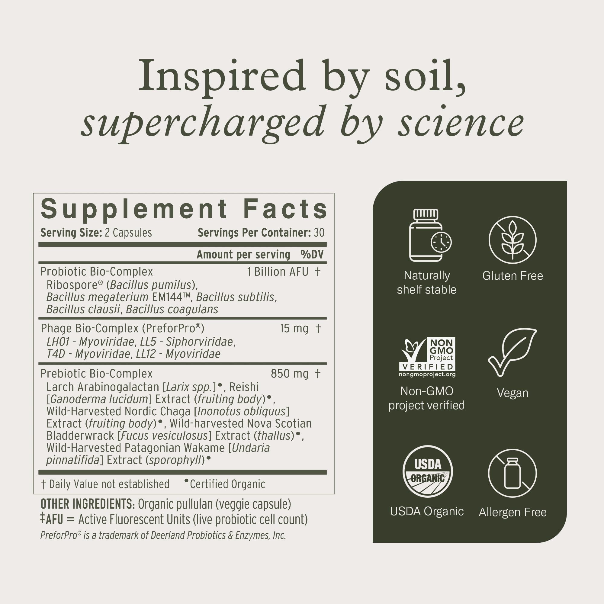 Graphic illustrating synbiotic gut health concept