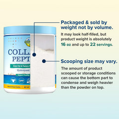 Collagen powder used in coffee or tea