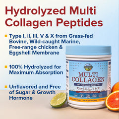 Sources of Terranics collagen: cattle, chicken, fish, eggs