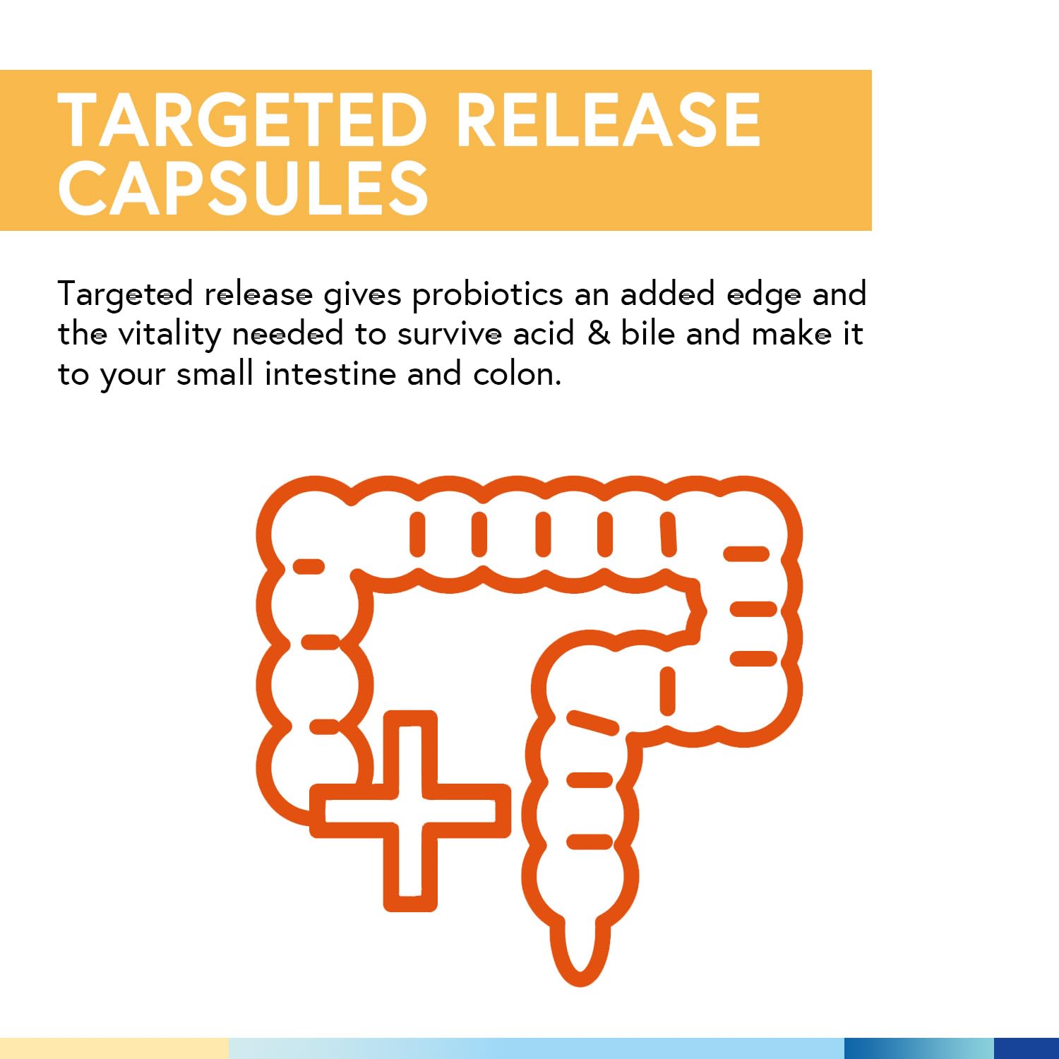Third-party testing certificate for Terranics Probiotics