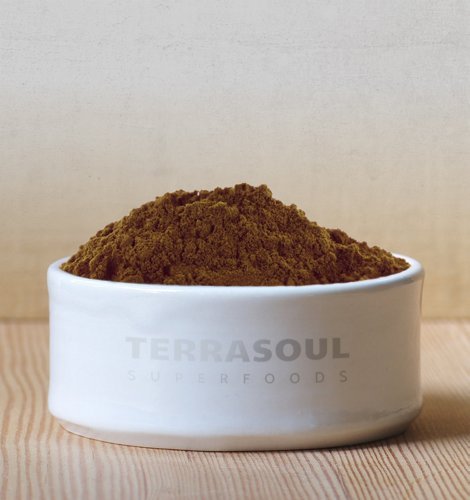 Terrasoul Reishi Mushroom Powder 4:1 Extract – 22 oz