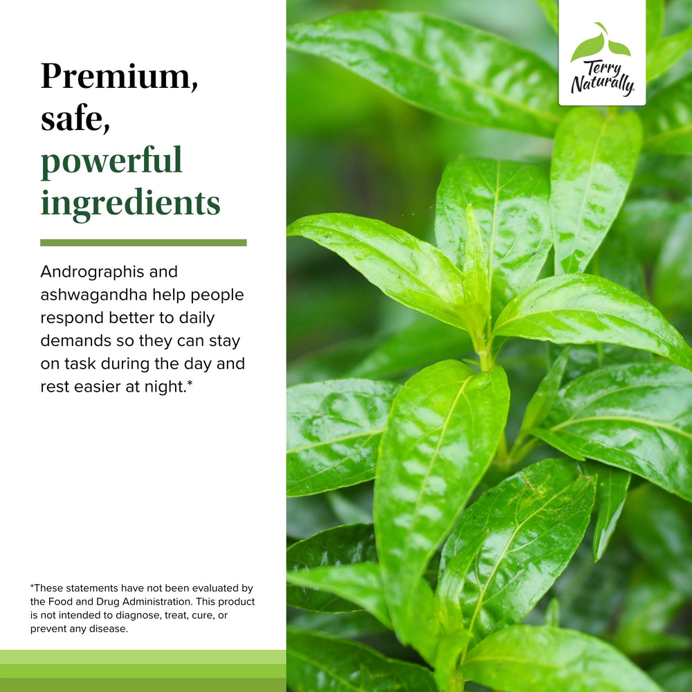 Product bottle label highlighting immune support and energy benefits