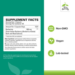 Back label of Terry Naturally Berberine Pack 2