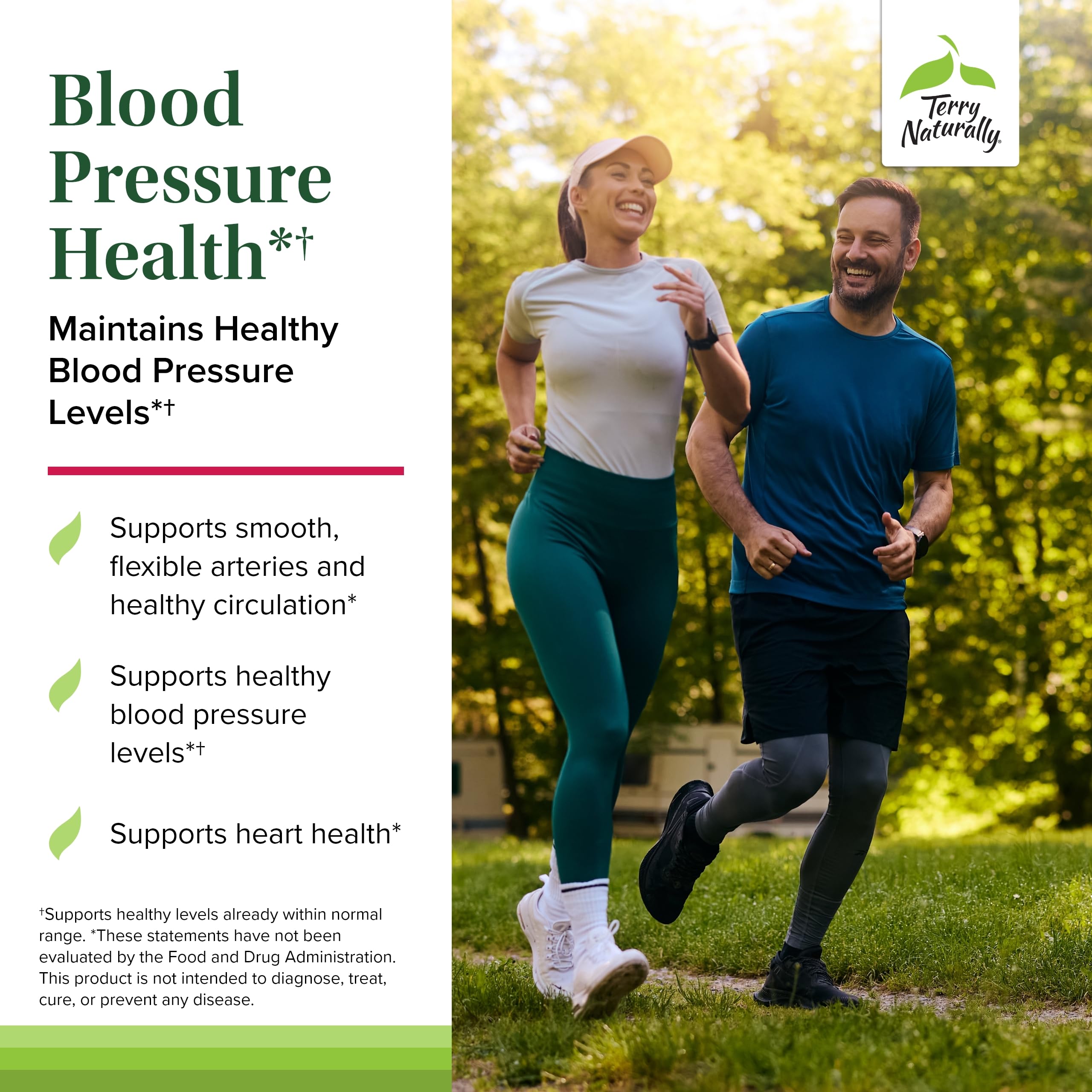 Illustration showing healthy arteries and blood flow