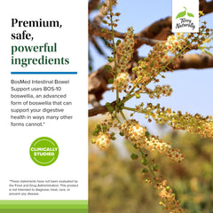 Supplement facts label for BosMed Intestinal Bowel Support