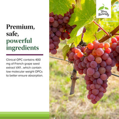 Immune health and cellular support imagery with OPC