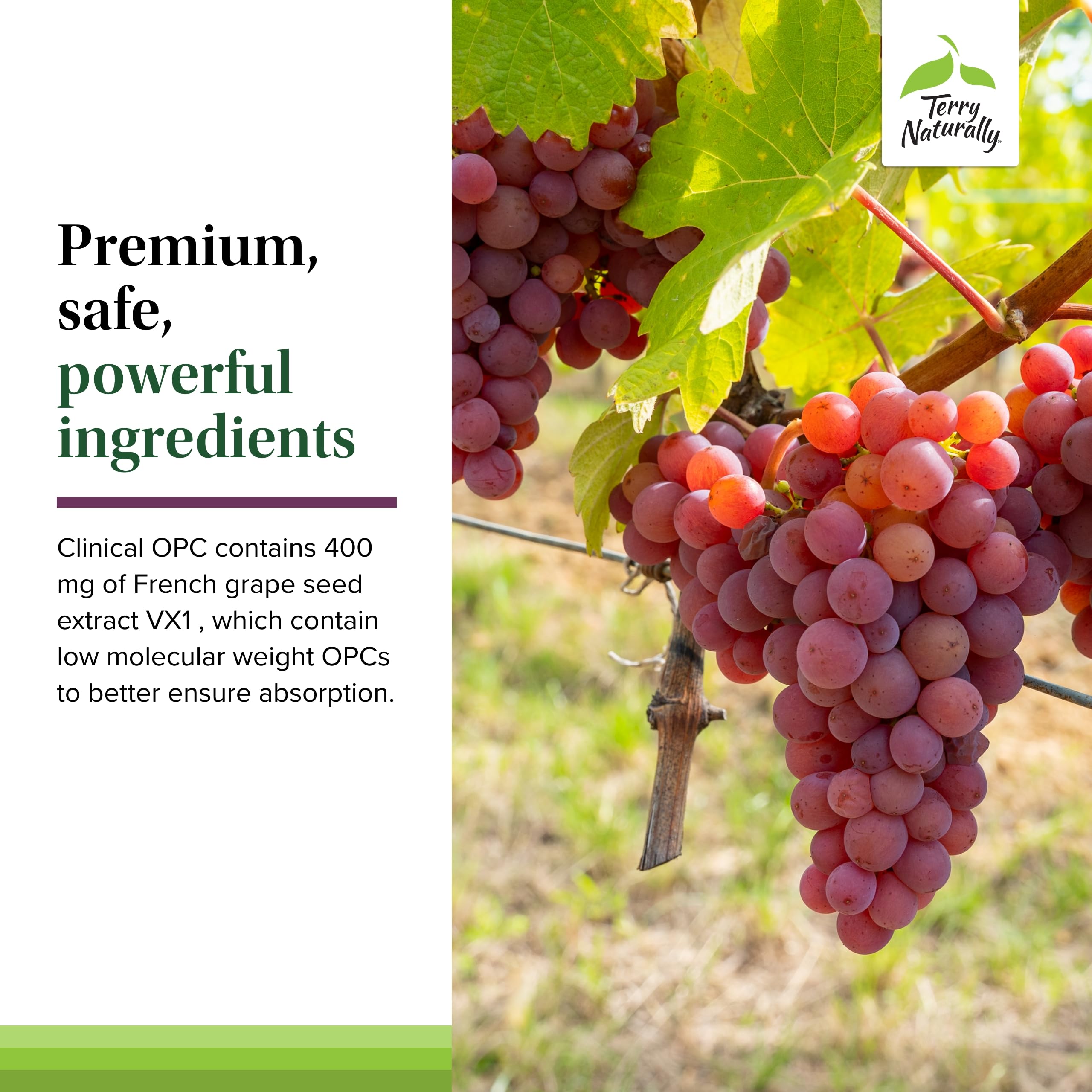 Product backed by six scientific studies on grape seed extract