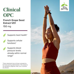 Graphic featuring sunflower lecithin and grape seed extract highlights key ingredients for absorption