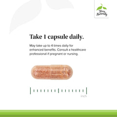 Sunflower lecithin ingredient for absorption in Clinical OPC