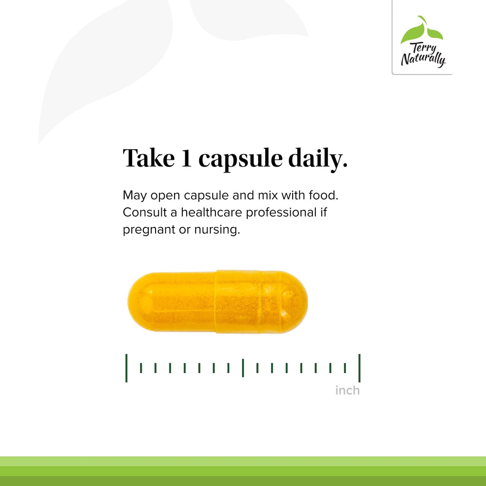 Graphic illustrating brain health support