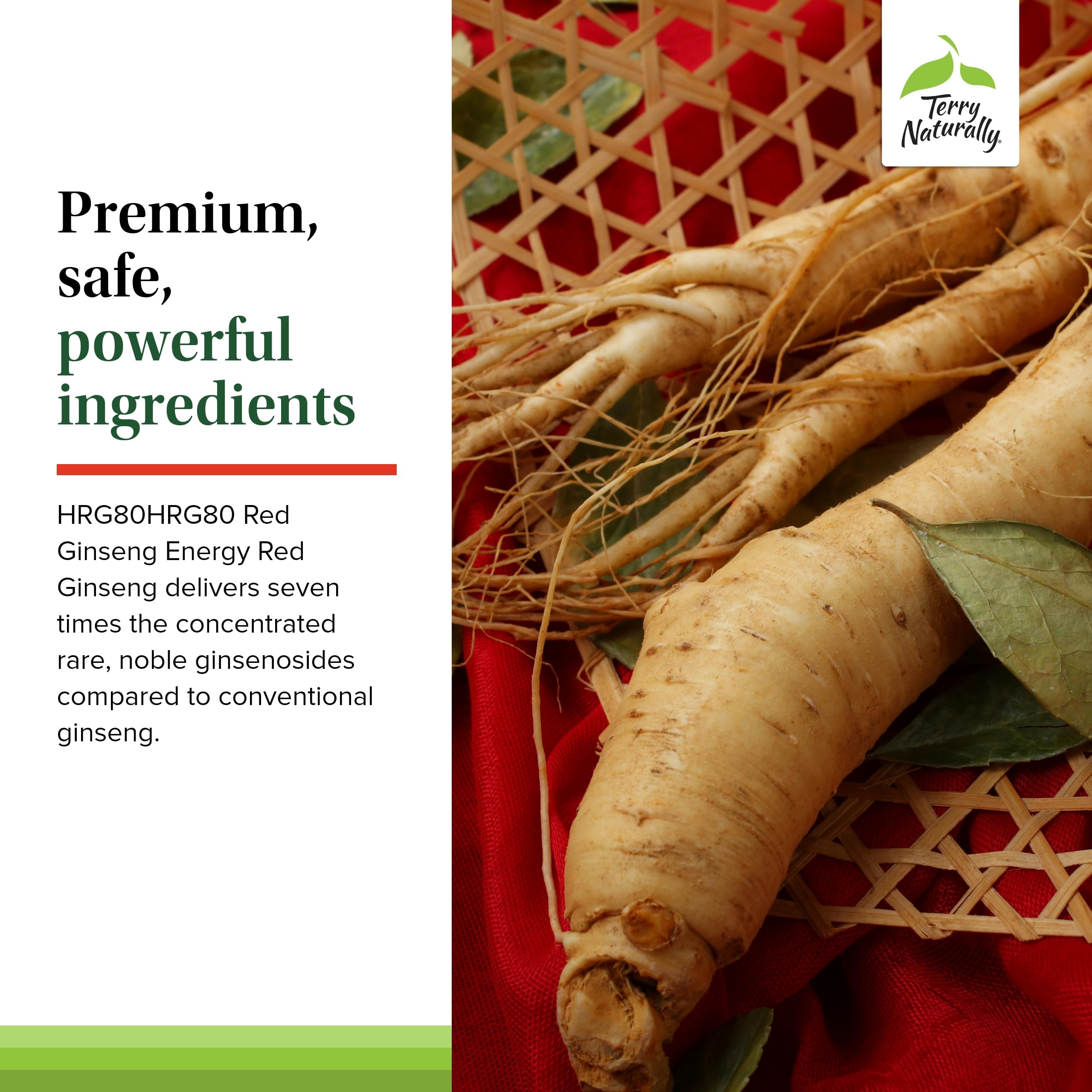 Graphic highlighting energy and focus benefits of ginseng supplement