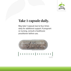 Red Sage Plus ingredients with red sage leaves and ginseng