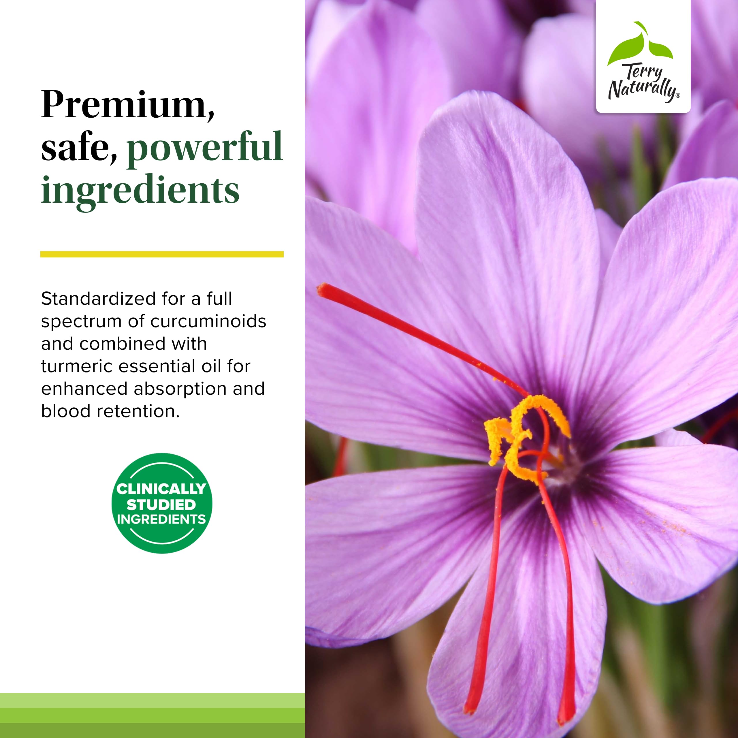 Packaging on a shelf communicates clean ingredients and allergen-friendly profile.