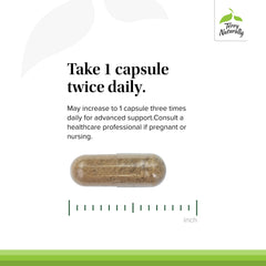 Zinc and chromium minerals representing metabolism support