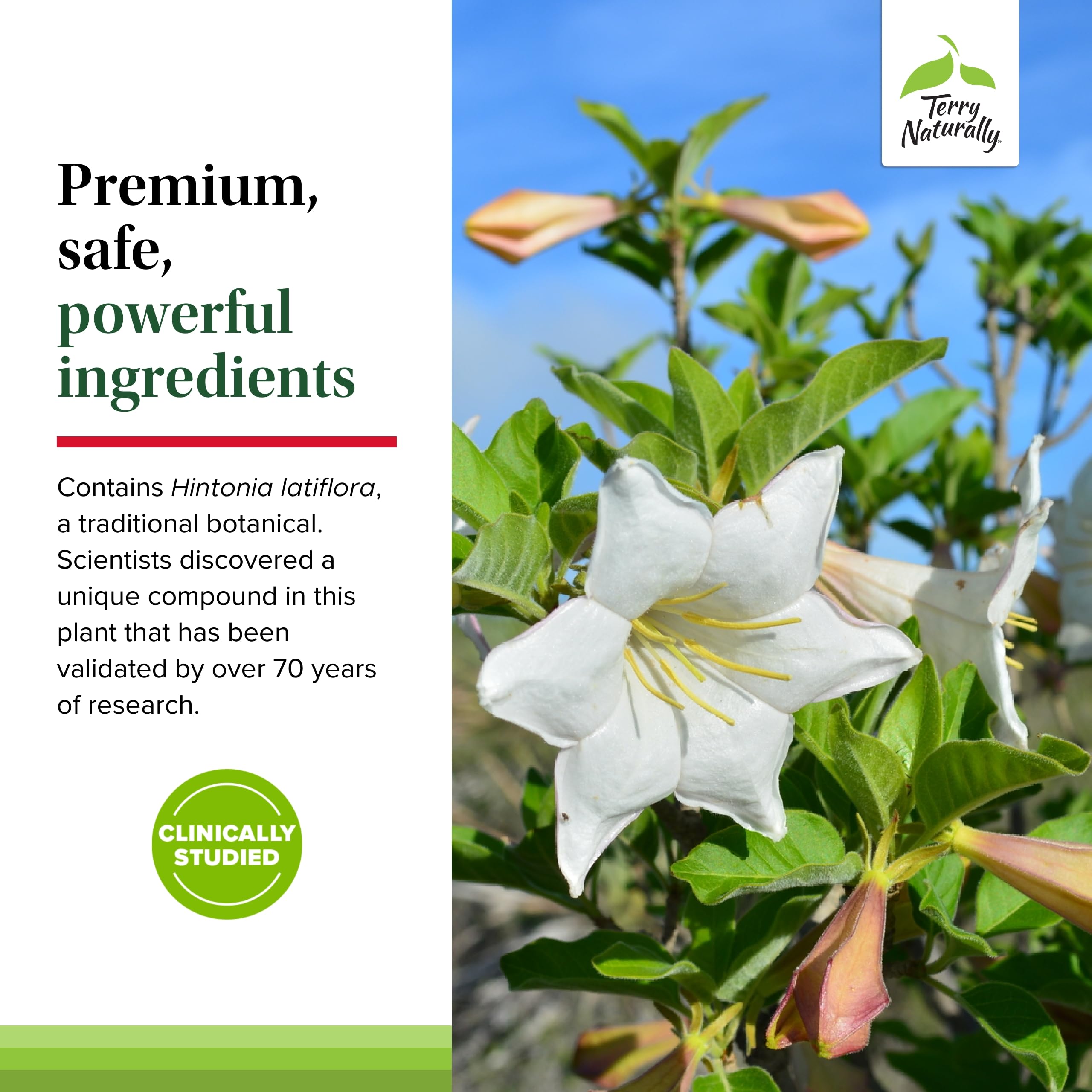 Open bottle with Sucontral D capsules