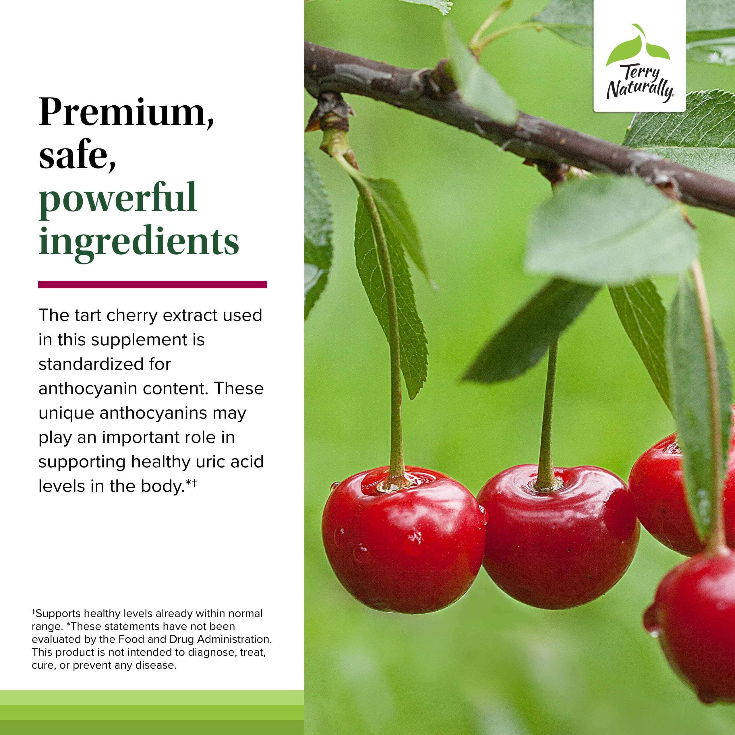 Vegan tart cherry capsules