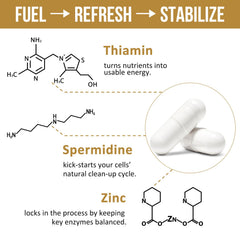 Product packaging and branding for Thalacy Spermidine supplement