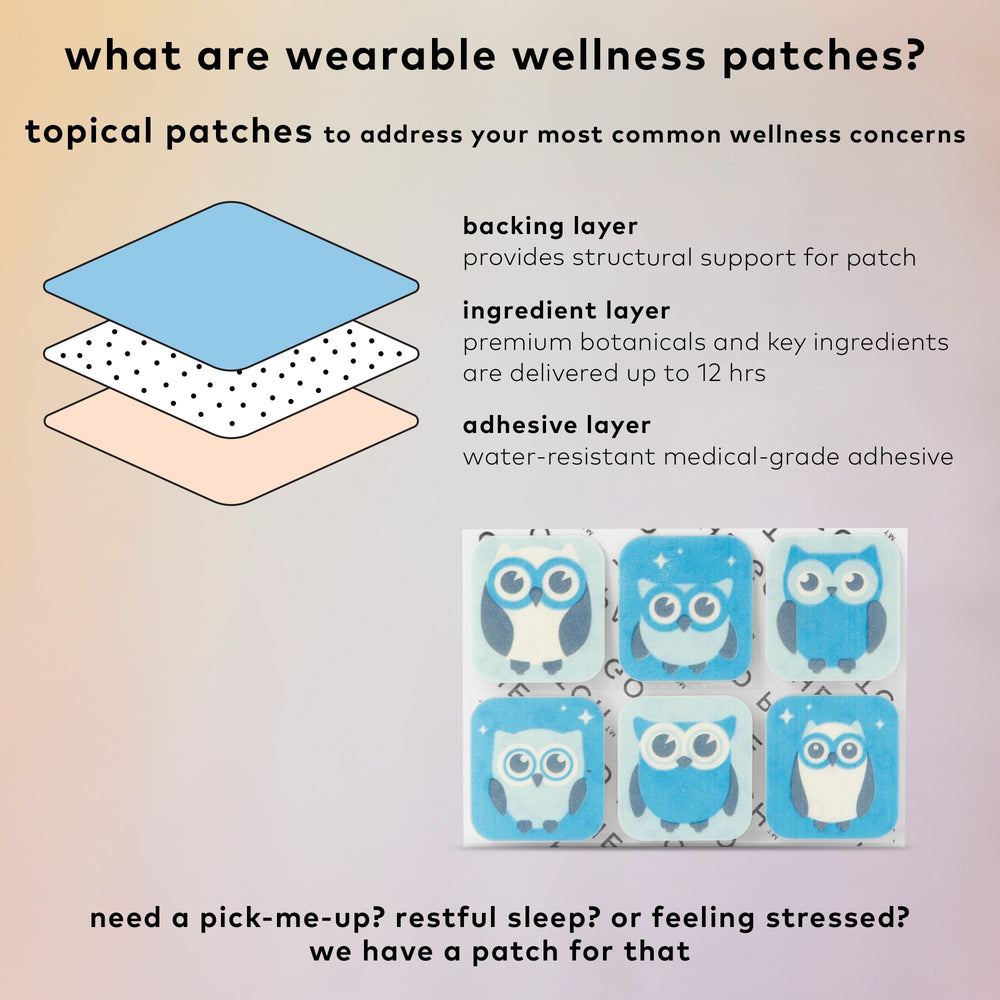 Six resealable pouches inside The Good Patch Nite Owl box for organization.