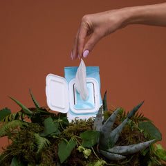 The Honey Pot Sensitive Feminine Wipes coconut oil detail for daily moisture.