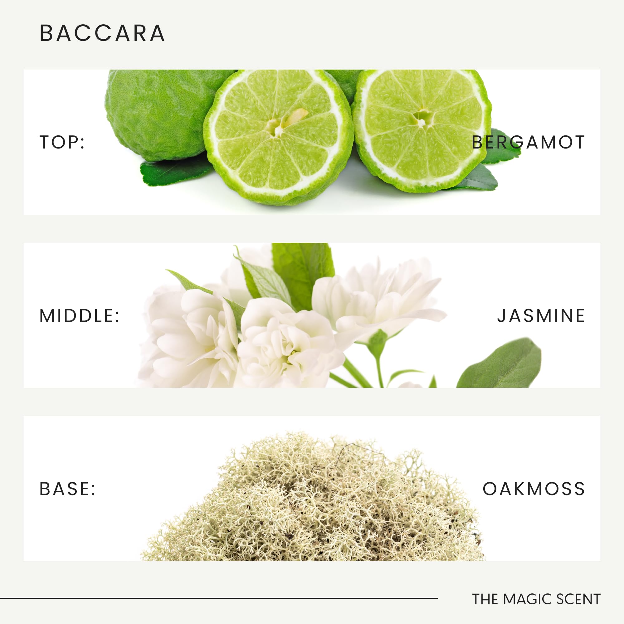 Graphic showing top, middle, and base notes: Bergamot, Sandalwood, Oud