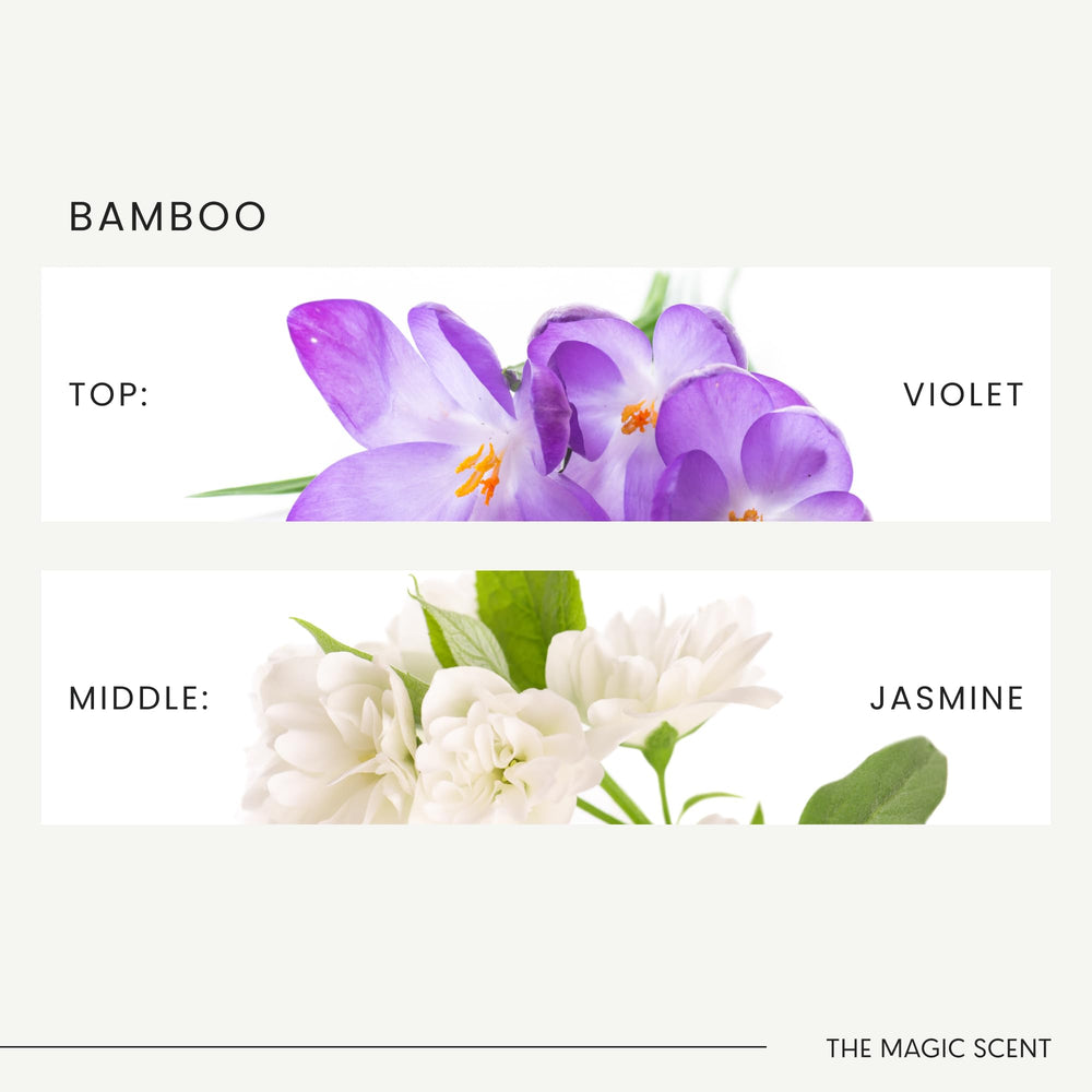 Illustration of top notes violet, wild strawberry, pink grapefruit