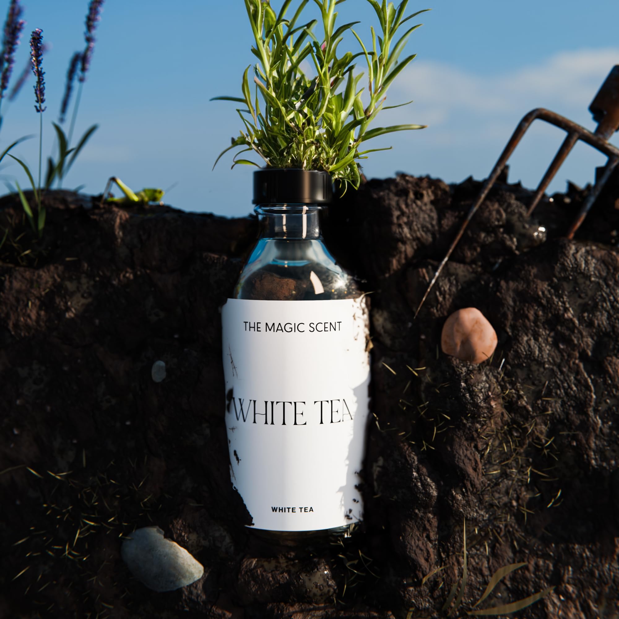 Highlight of Lily, Sandalwood and Musk notes