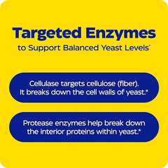 Graphic showing Thera-blend enzyme technology