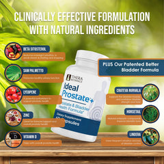 Therabotanics Ideal Prostate Plus dosage guidance for safe daily use
