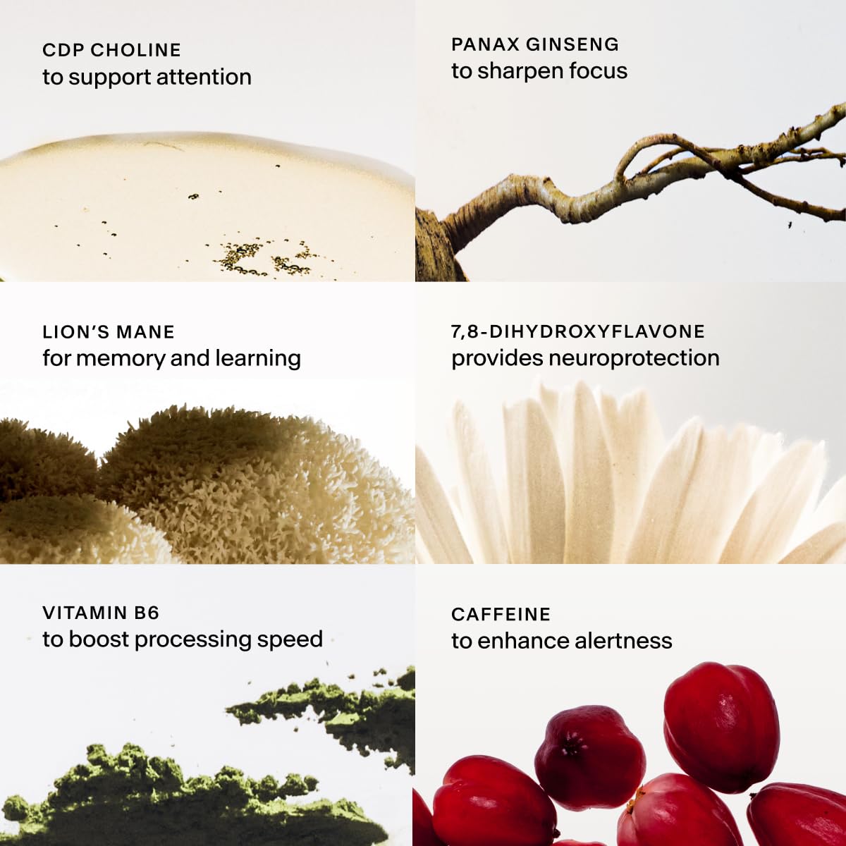 Ingredients panel showing CDP Choline, caffeine, Lion’s Mane, Panax Ginseng, 7,8-DHF, B6