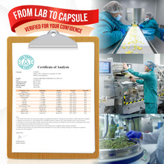 Third-party lab testing seal