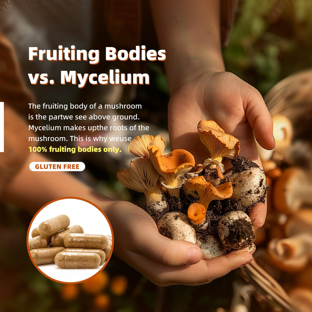 Third-party tested mushroom ingredients in Canada facility