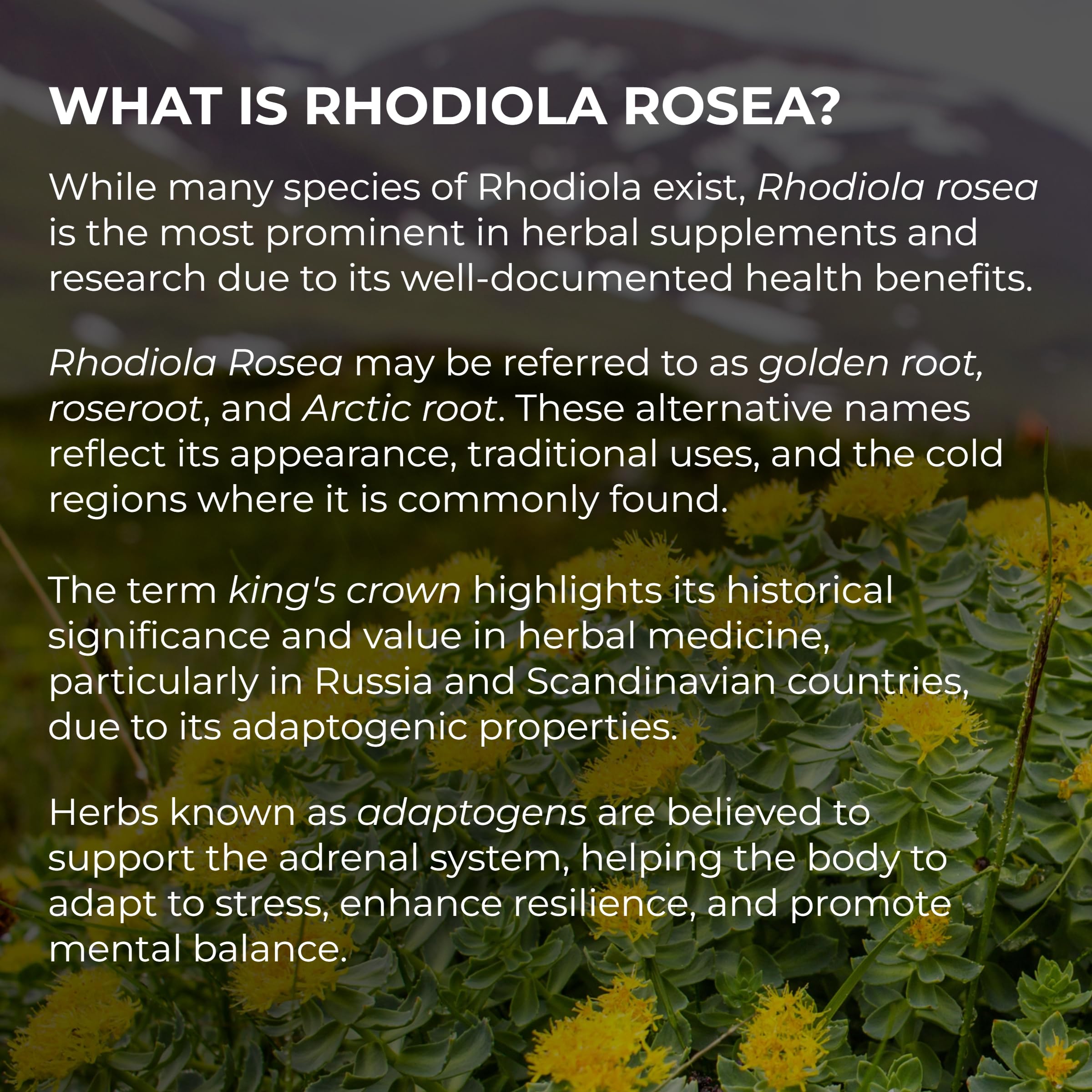 Third-party tested Rhodiola tincture label
