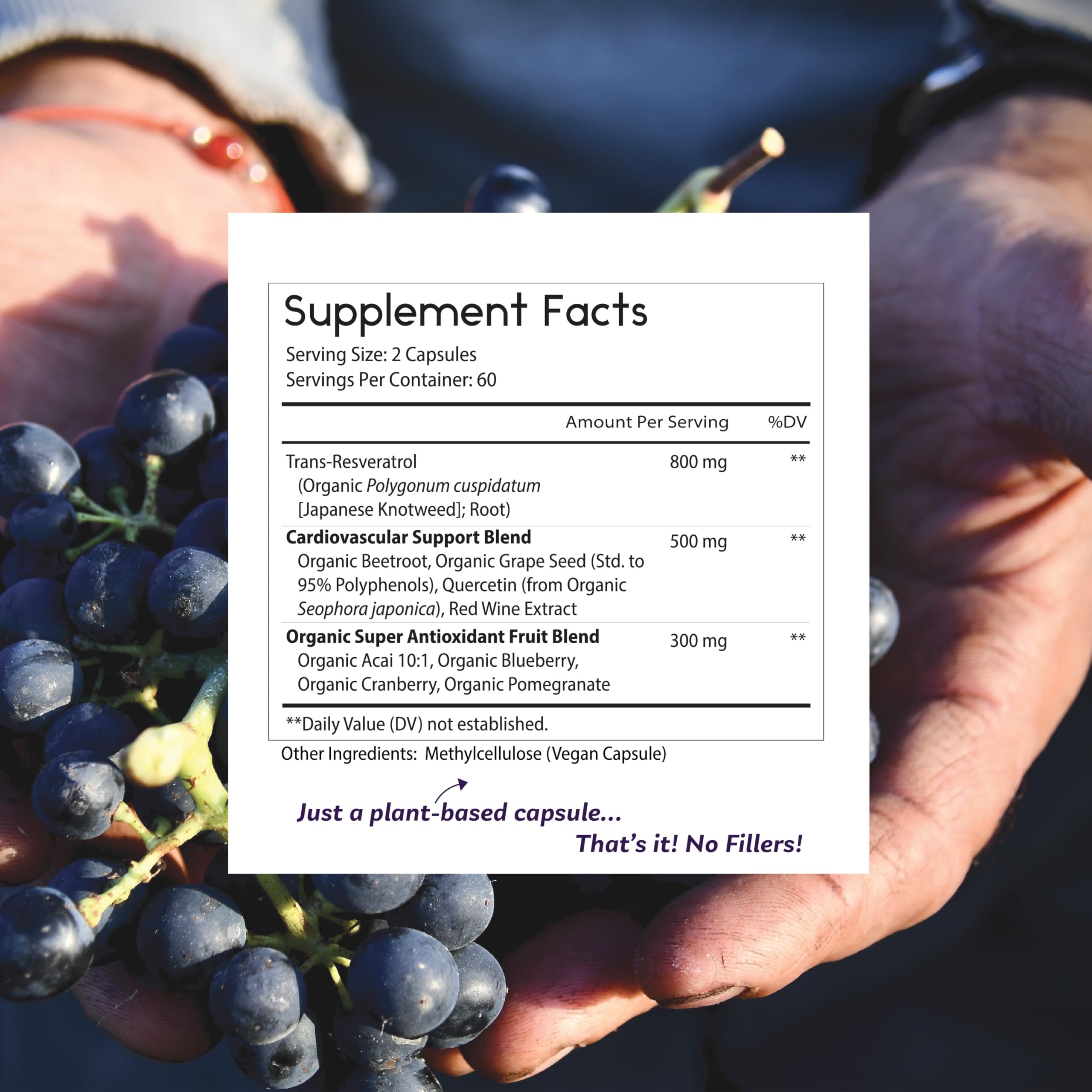 Quercetin supplement component image