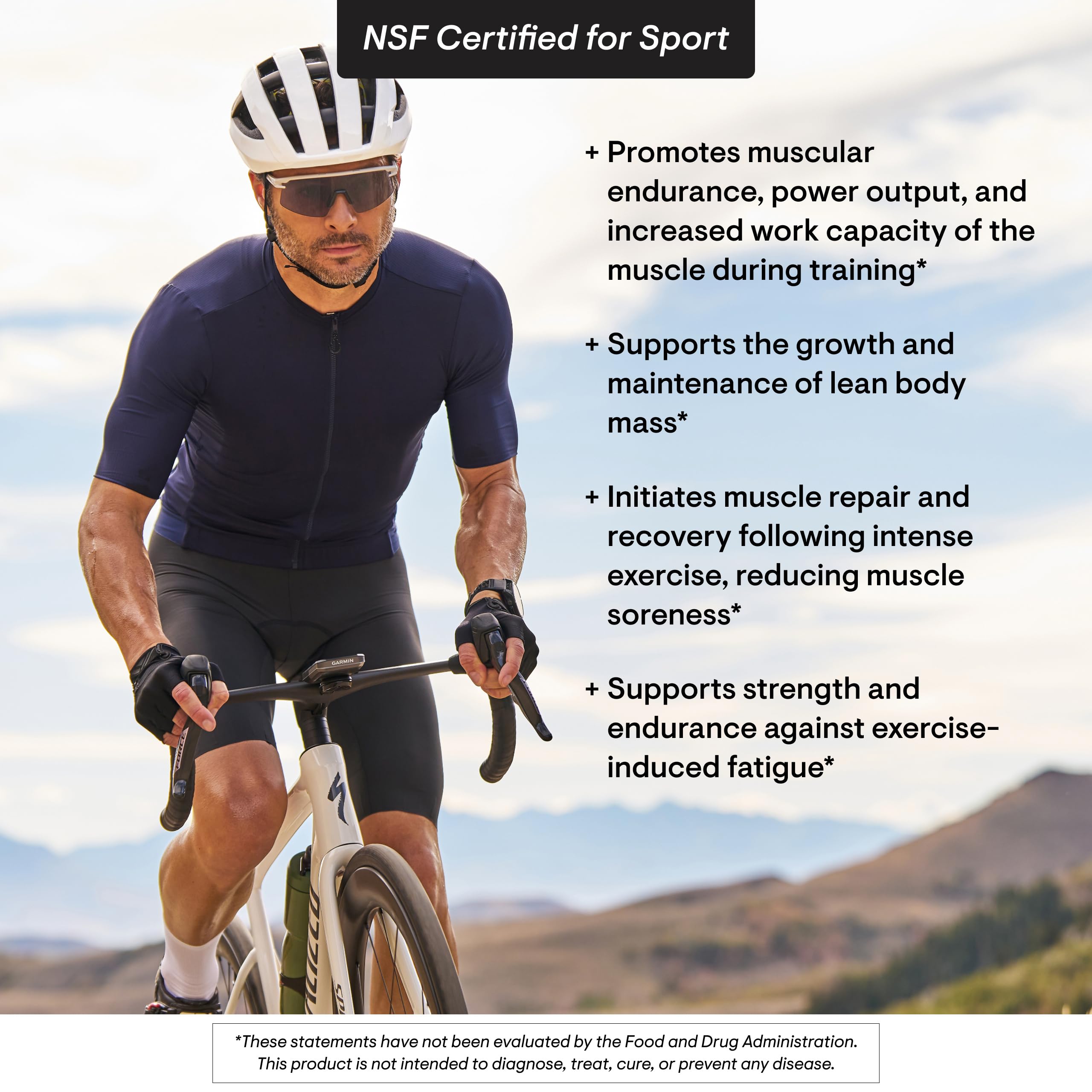 Ingredients list for THORNE Creatine + BCAAs Powder