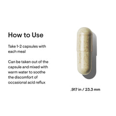 Close-up of GI Relief ingredients including Aloe Vera Gel and DGL