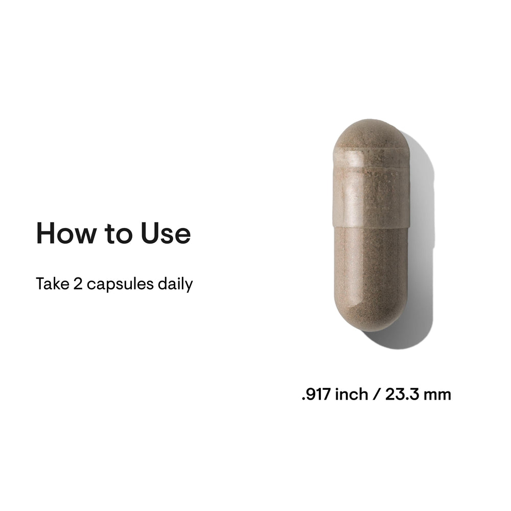 Ingredients include Korean red ginseng, lion's mane, and Greek mountain tea