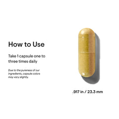 Graphic illustrating B vitamins, folate and choline for brain health