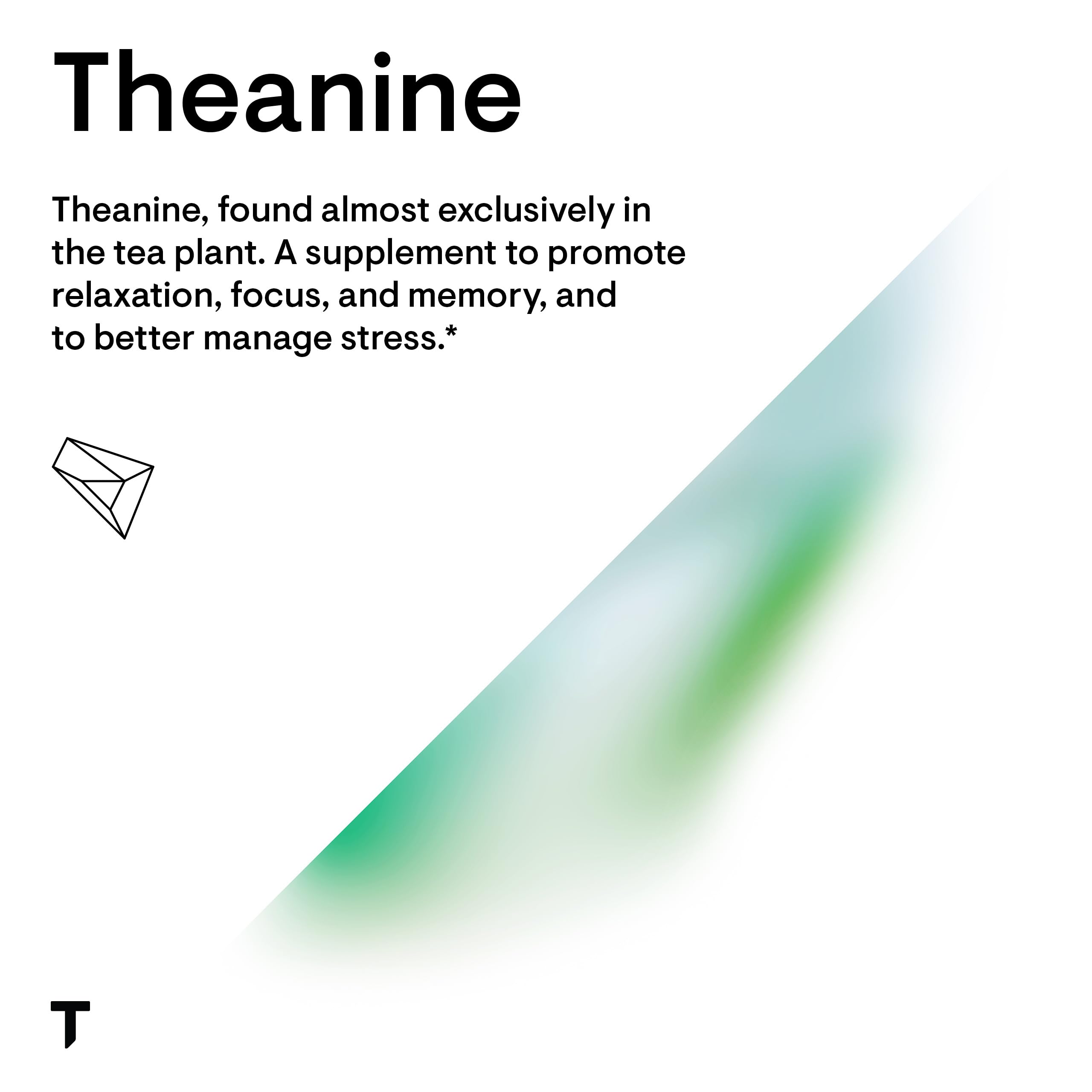 Packshot of THORNE Theanine 200mg 90 capsules