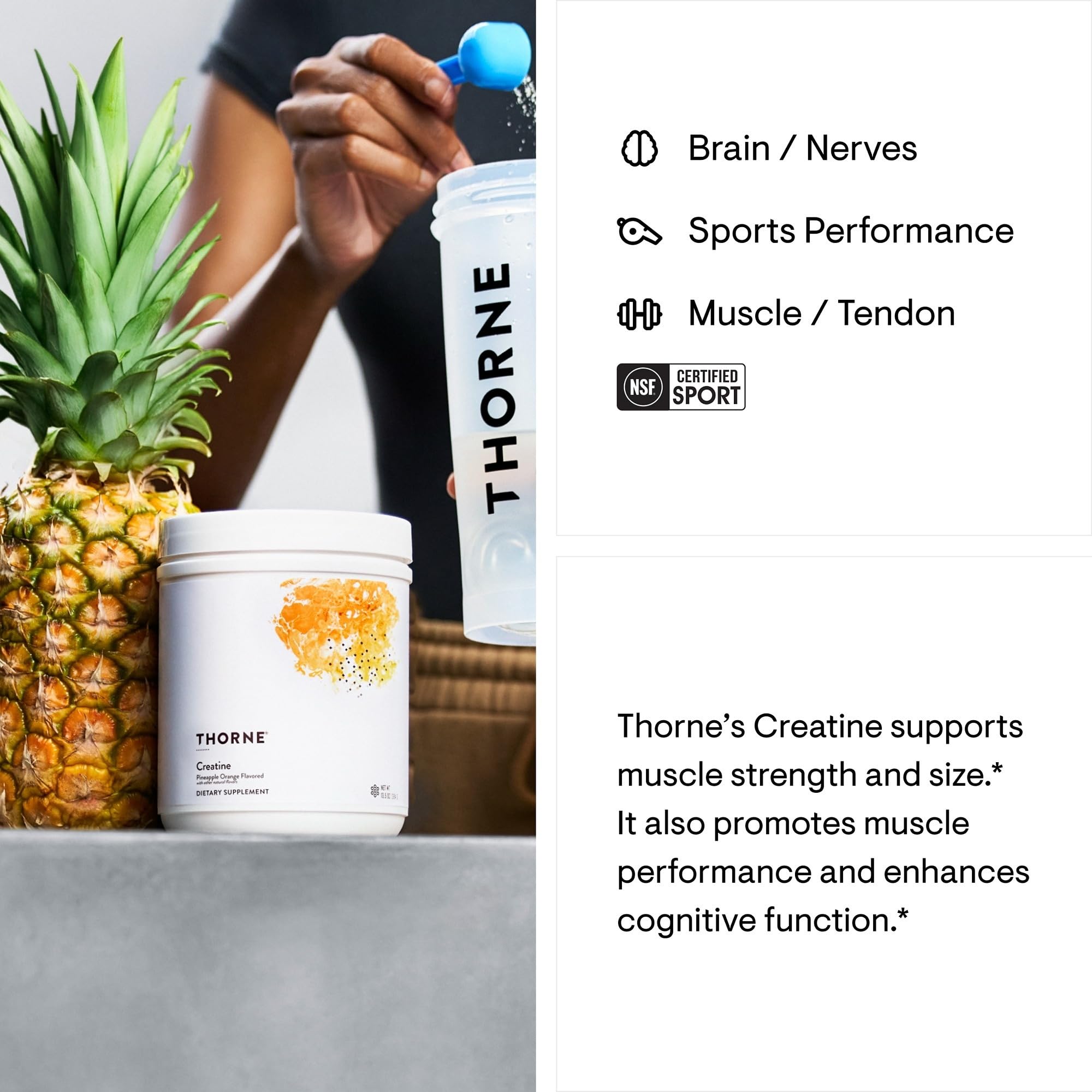 Thorne branding emphasizing muscle and cognitive support benefits