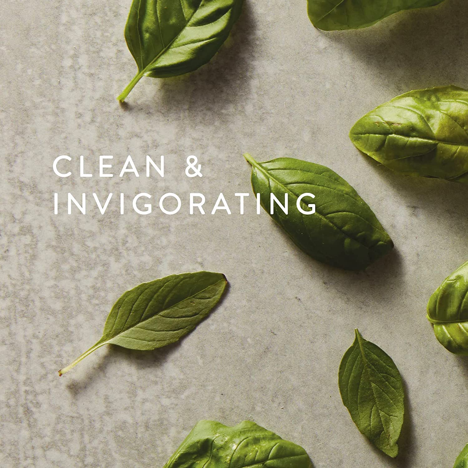 Close-up of Fresh-Cut Basil Fragrance Mist label