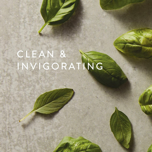 Close-up of Fresh-Cut Basil Fragrance Mist label