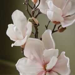 Magnolia Willow room spray in a bathroom setting