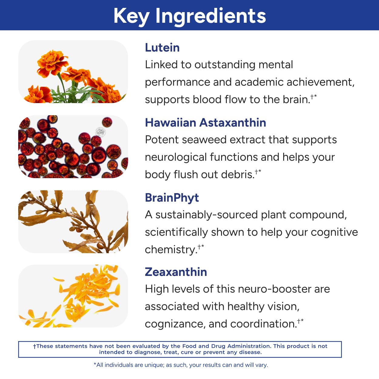 ThymoQuin black cumin seed oil ingredient