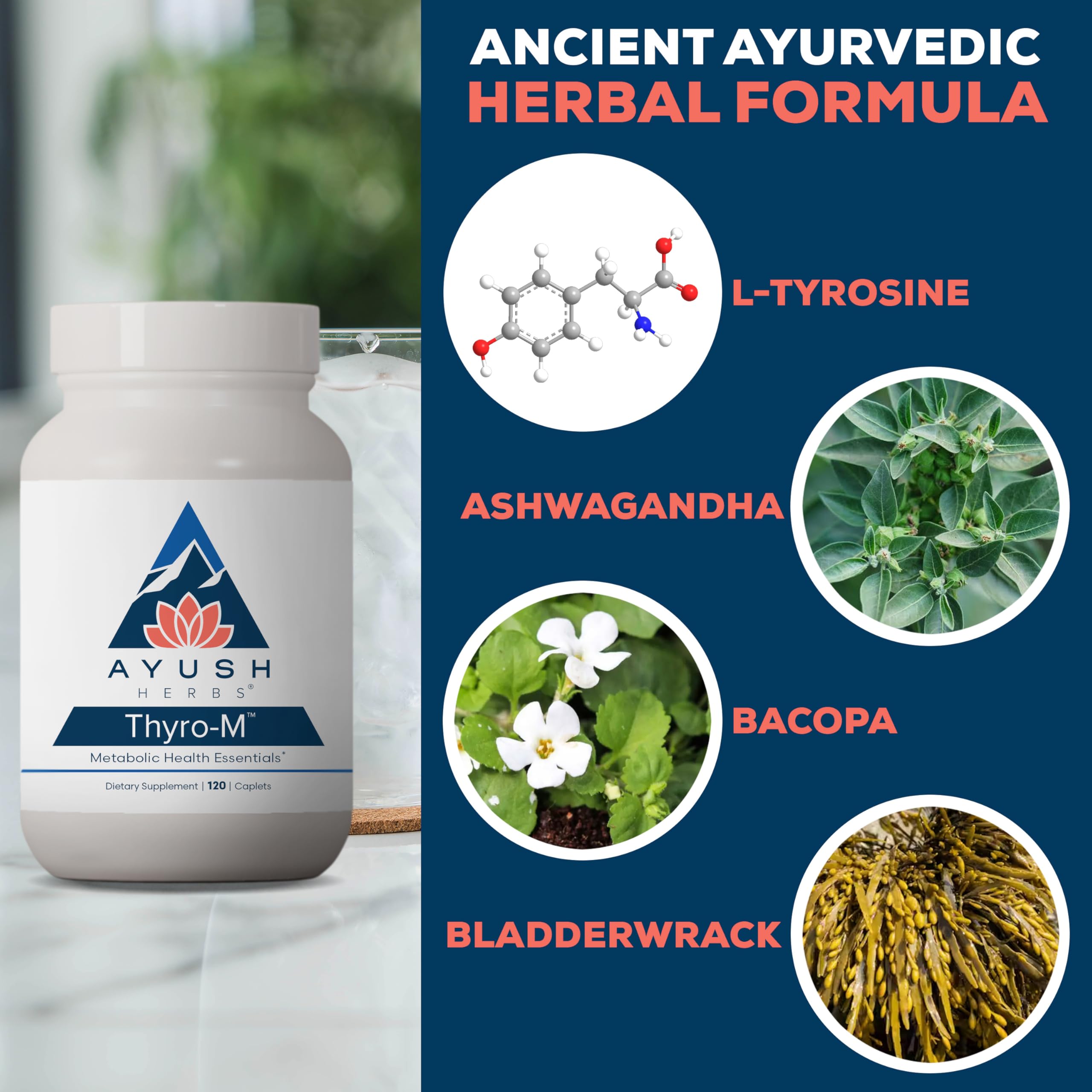 Ayurvedic thyroid support concept illustration