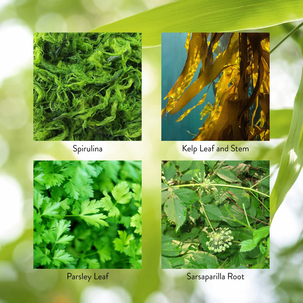 Parsley leaf used in Thyroid Activator blend